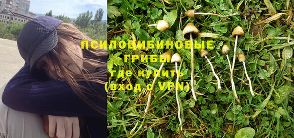 mix Мегион