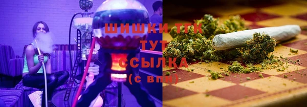 Альфа ПВП Сосновоборск