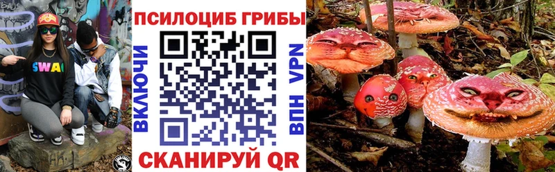 darknet телеграм  Разумное  Псилоцибиновые грибы GOLDEN TEACHER  купить наркотики сайты 