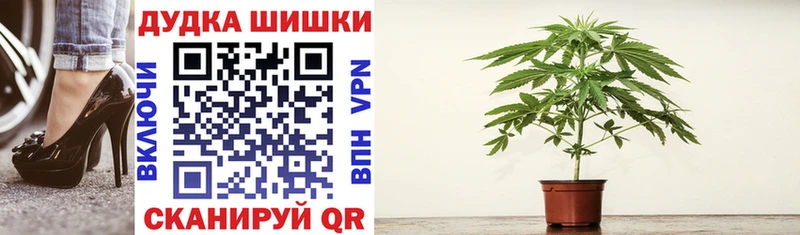 купить наркотик  Разумное  Конопля сатива 